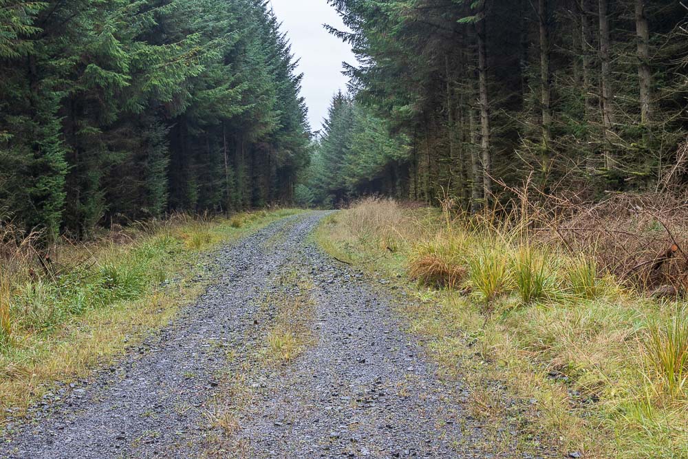 Bower Wood Bower Wood